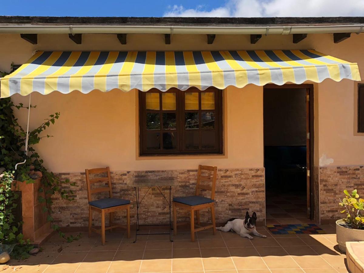 Casa Palmera Y Casa Datil Haría Buitenkant foto